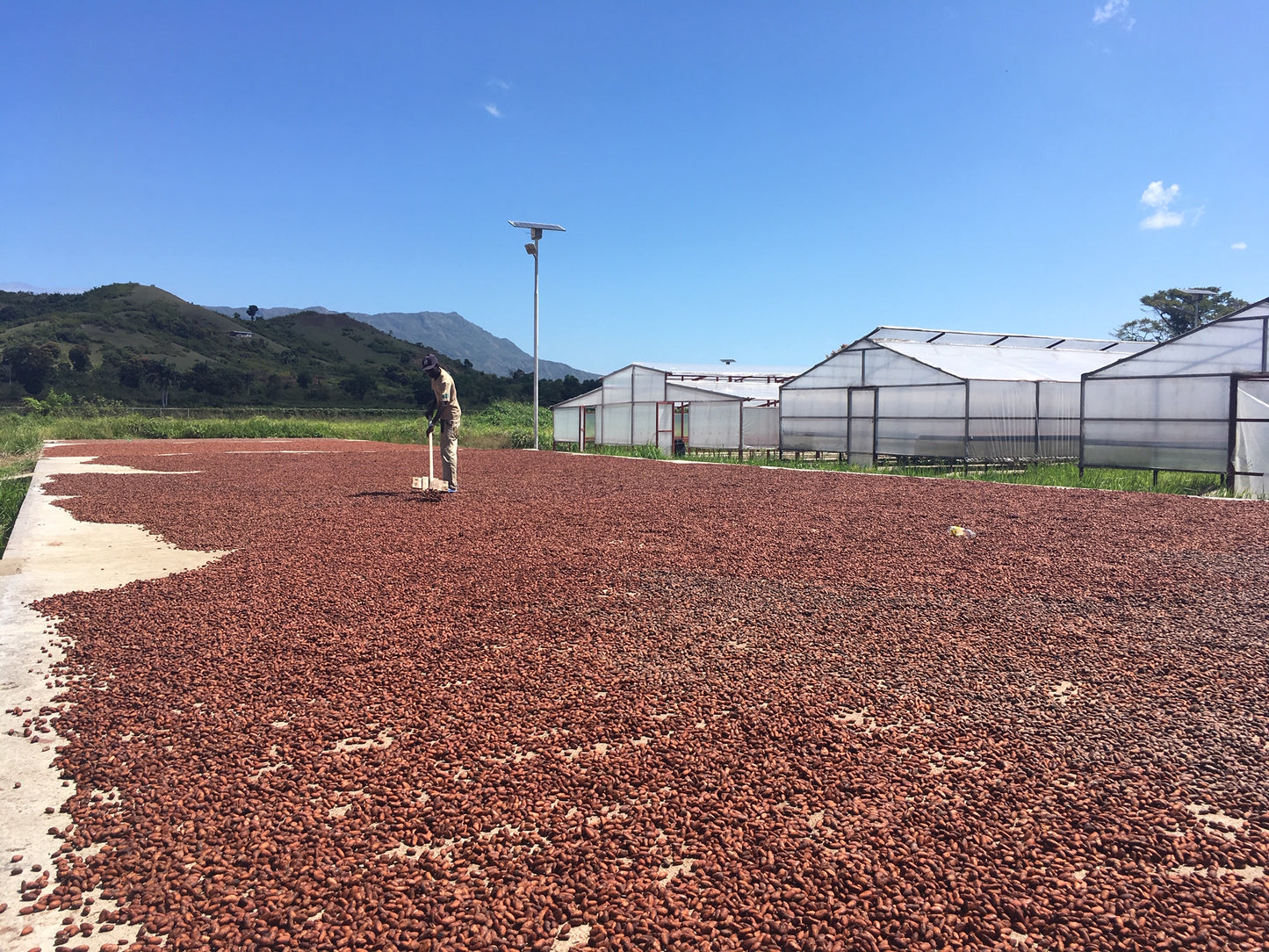 Hot Chocolate 59% Haiti - Chai Spices