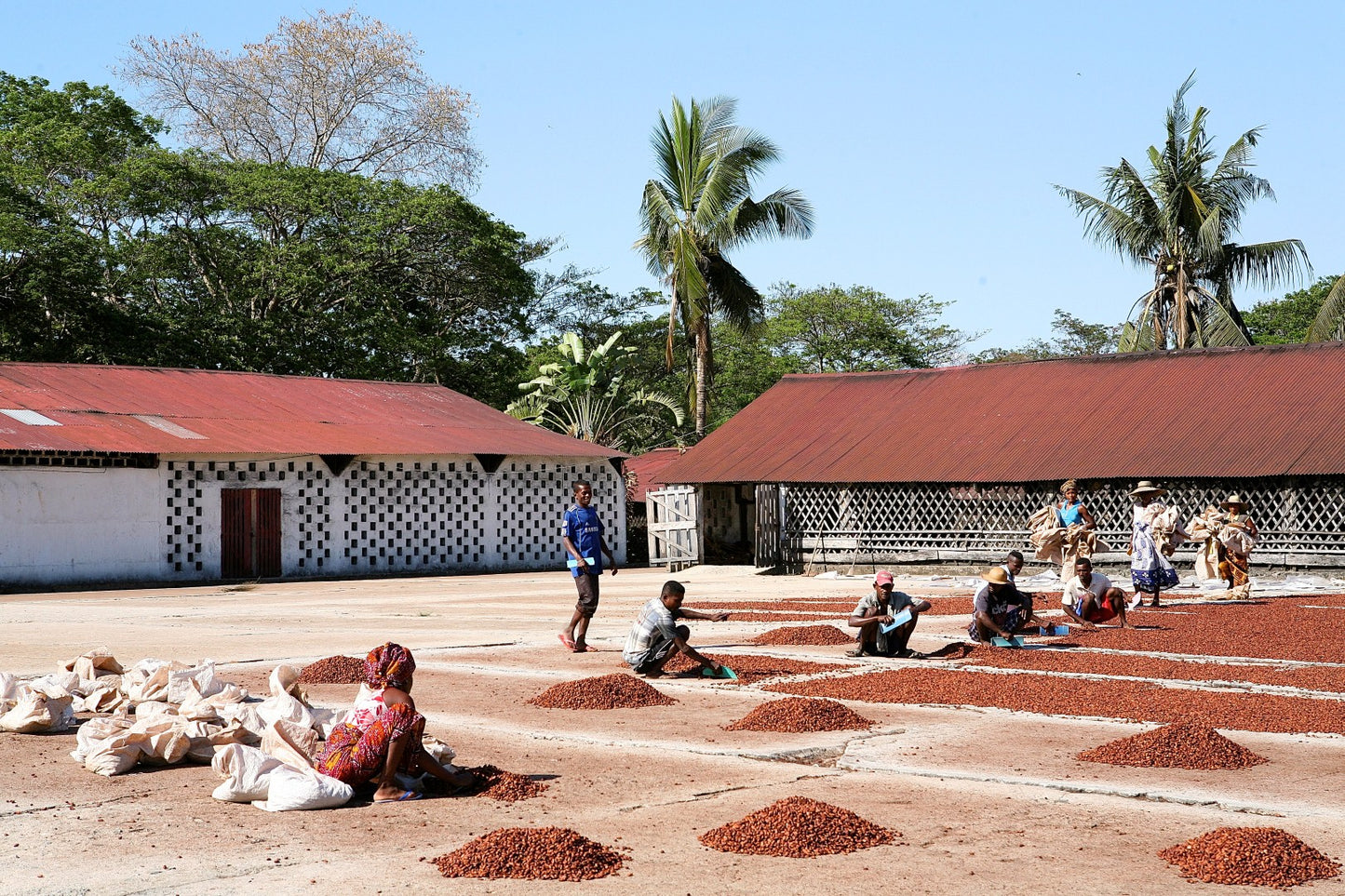 Traceability Record Madagascar