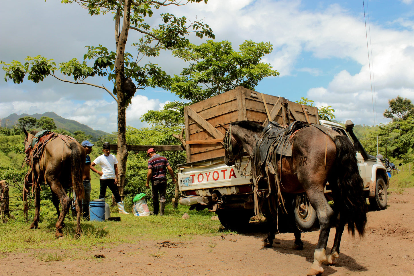 Limited Edition 10 - Nicaragua 63% Salted